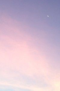 卡迪夫城主帅放言升级目标，全力争取联赛前列