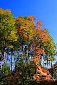 篮球界热点：球员交易谣言引发关注