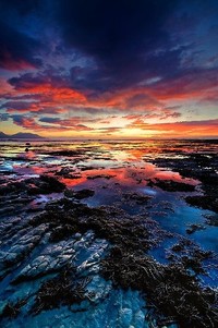 里尔迎战昂热，主场拼尽全力