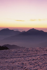 大连输给青岛，无缘季后赛：告别与新生