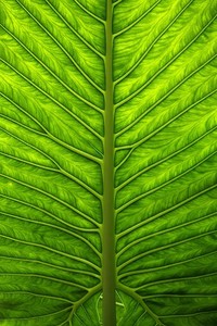 西班牙队备战欧洲巅峰对决，全队备战